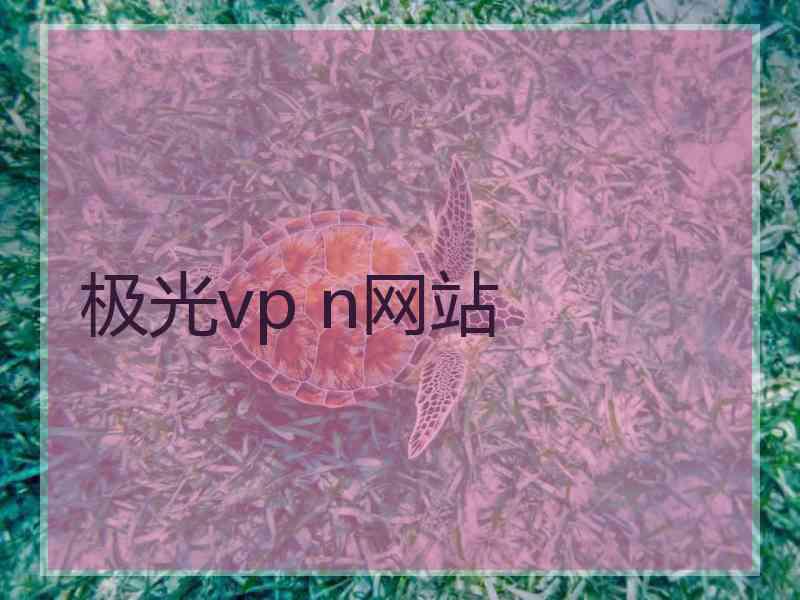 极光vp n网站