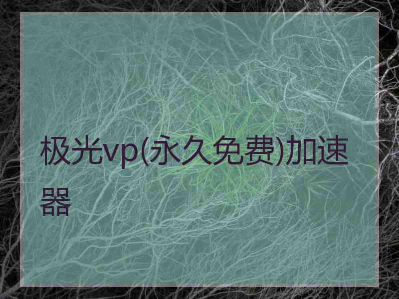 极光vp(永久免费)加速器