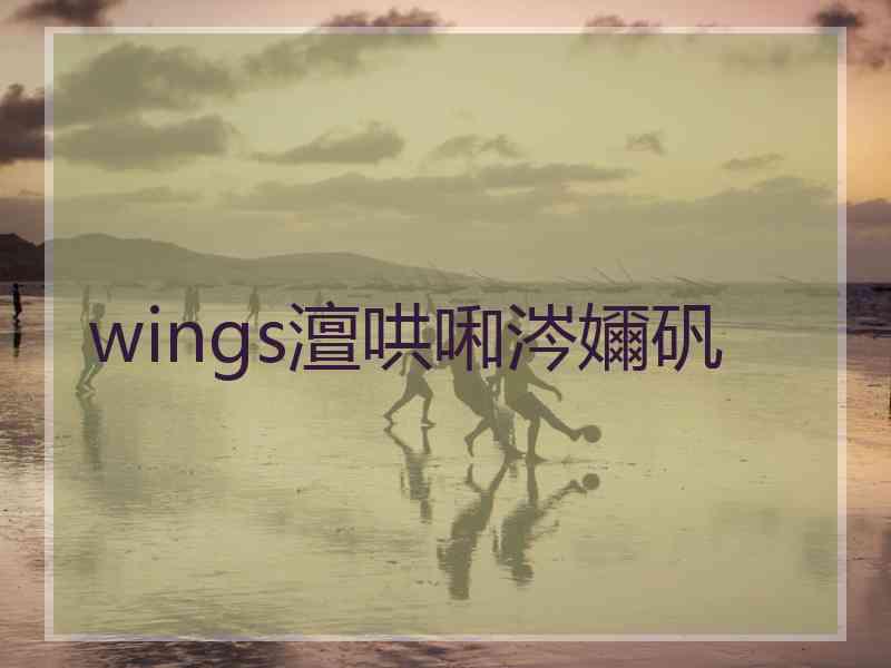 wings澶哄啝涔嬭矾