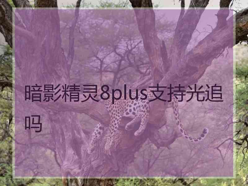 暗影精灵8plus支持光追吗