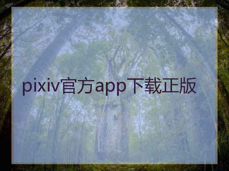 pixiv官方app下载正版