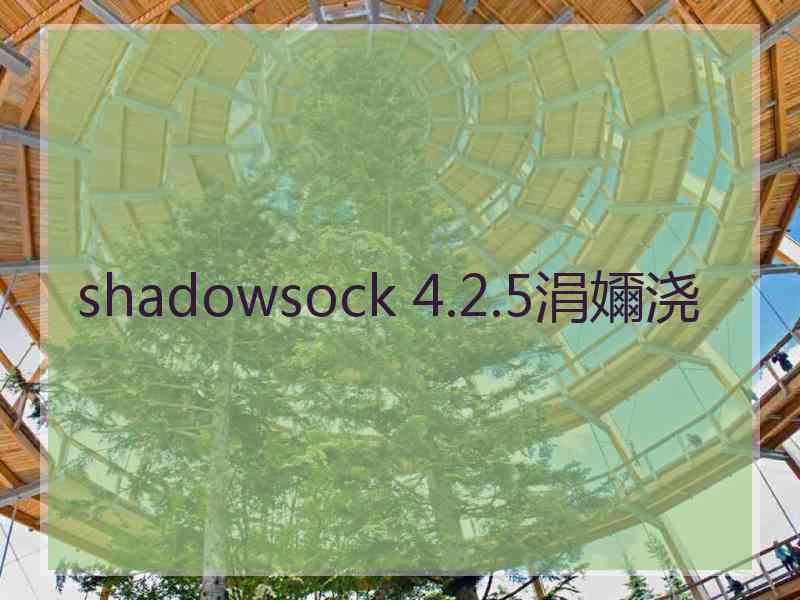 shadowsock 4.2.5涓嬭浇