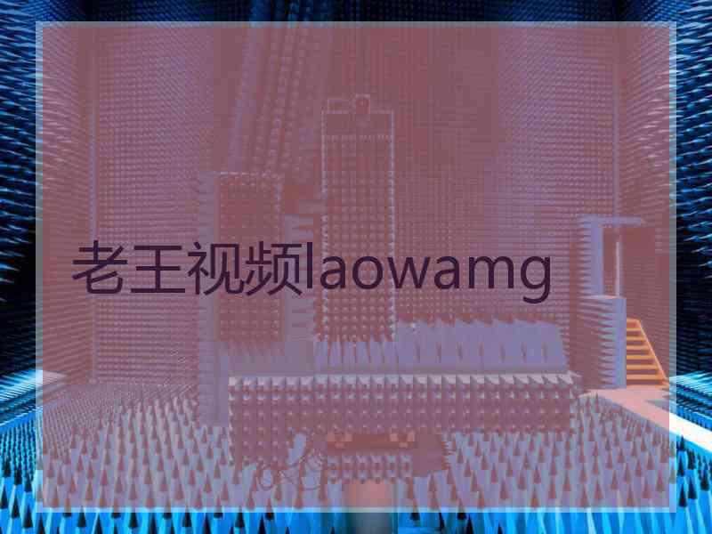 老王视频laowamg