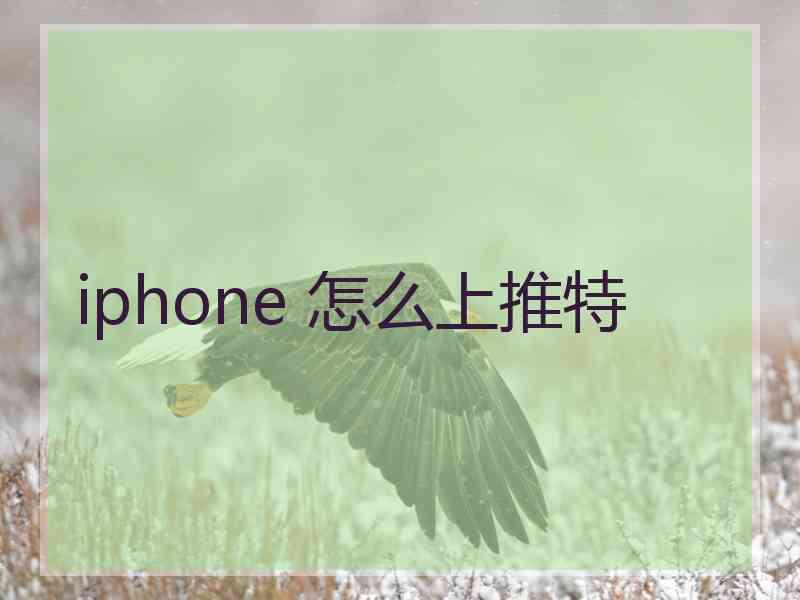 iphone 怎么上推特