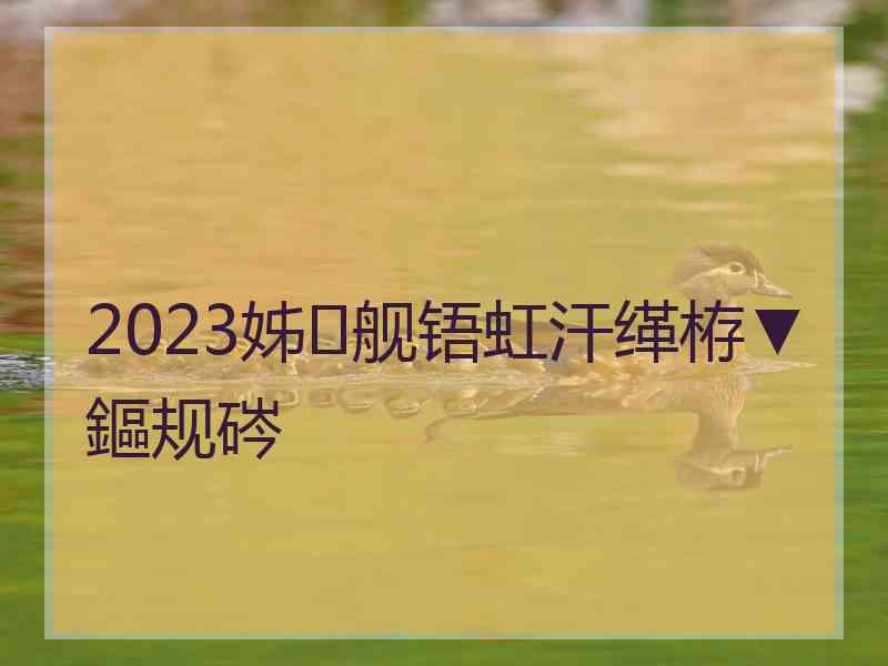 2023姊舰铻虹汗缂栫▼鏂规硶