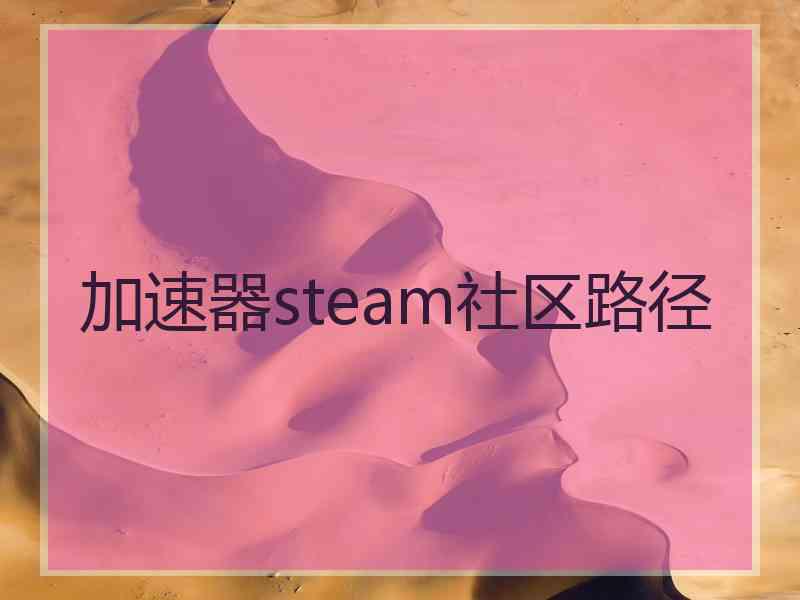 加速器steam社区路径