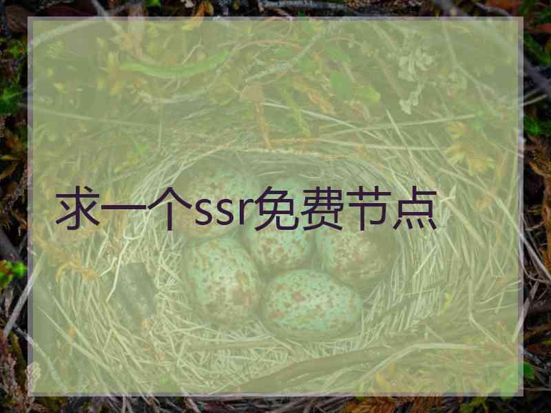 求一个ssr免费节点