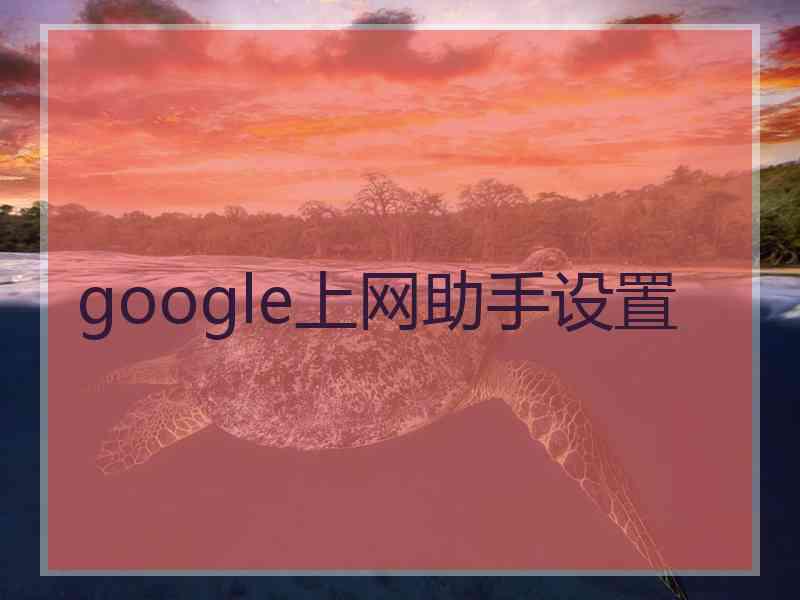 google上网助手设置