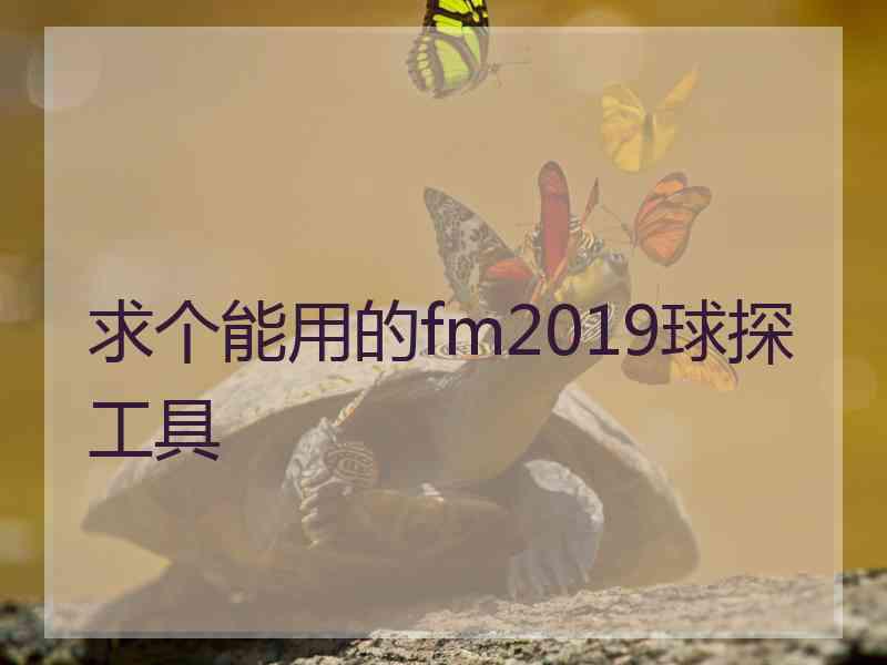 求个能用的fm2019球探工具