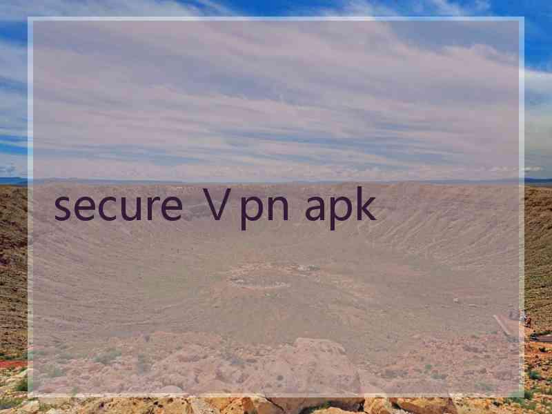 secure Ⅴpn apk