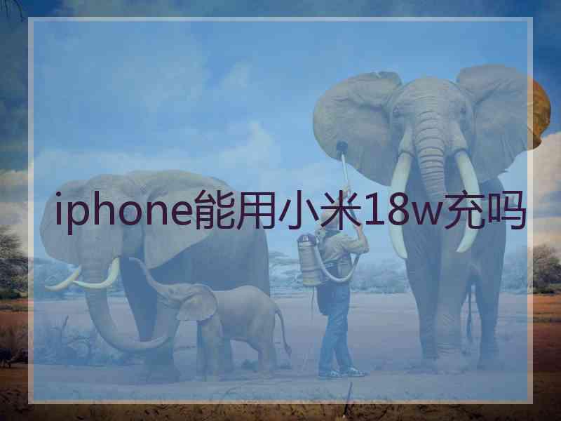 iphone能用小米18w充吗