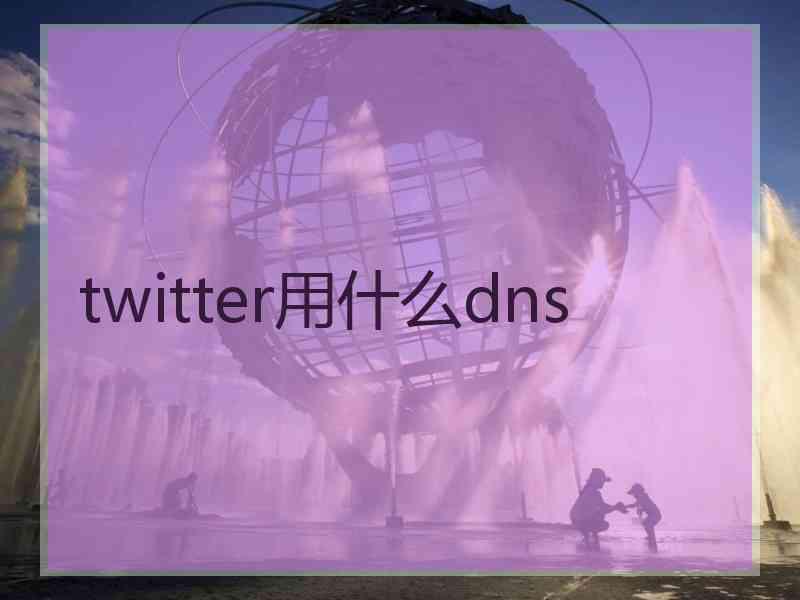 twitter用什么dns