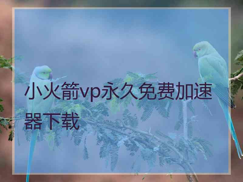 小火箭vp永久免费加速器下载