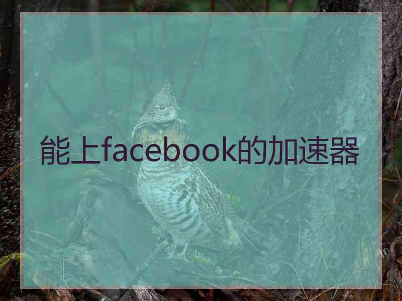 能上facebook的加速器