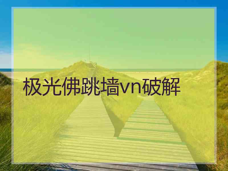 极光佛跳墙vn破解