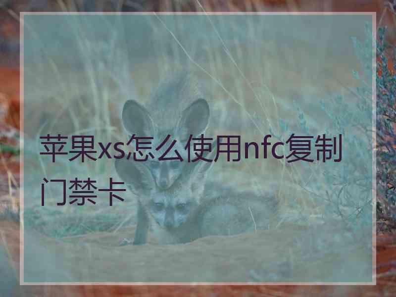 苹果xs怎么使用nfc复制门禁卡