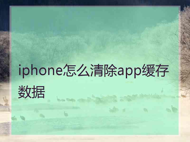 iphone怎么清除app缓存数据