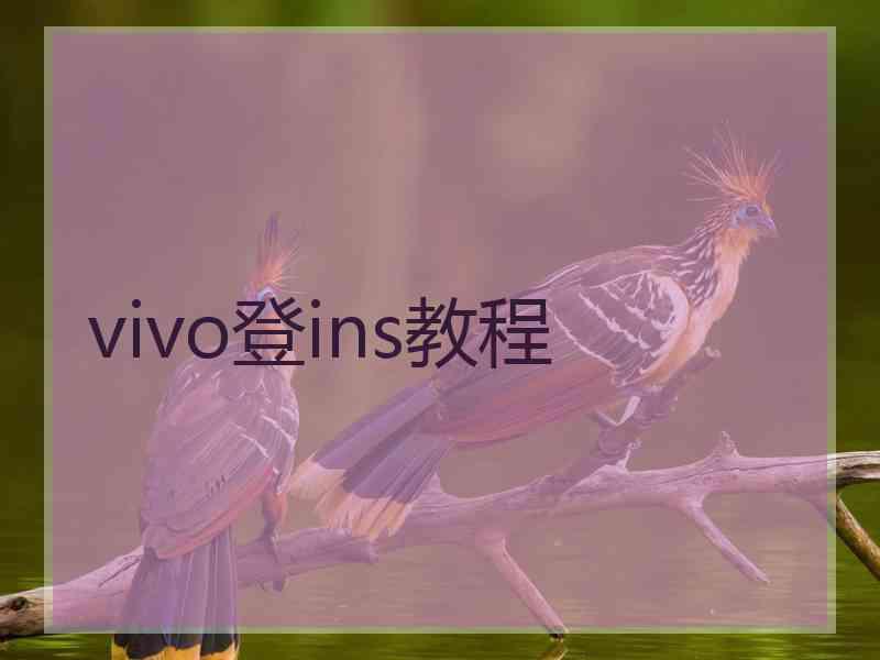 vivo登ins教程