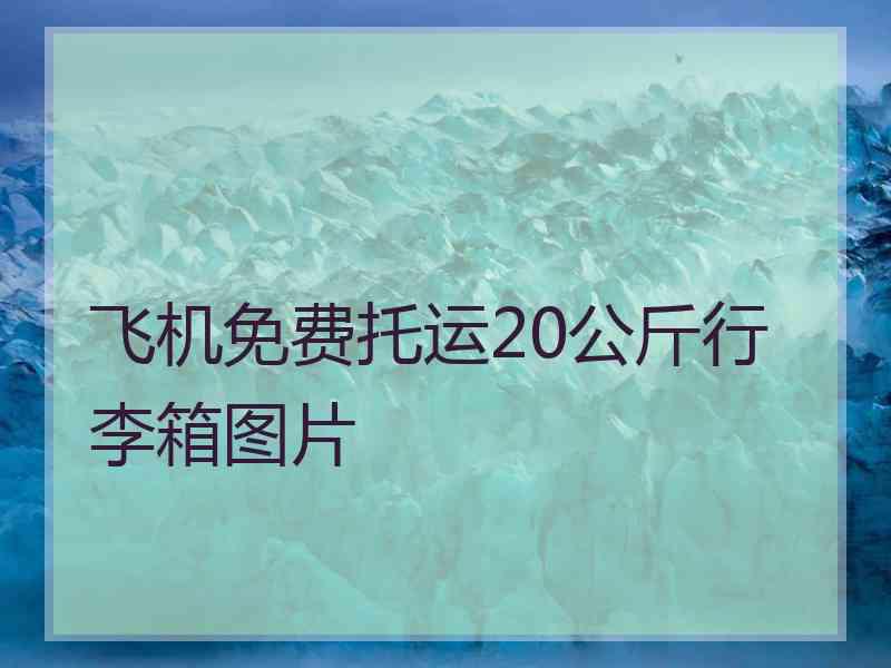 飞机免费托运20公斤行李箱图片