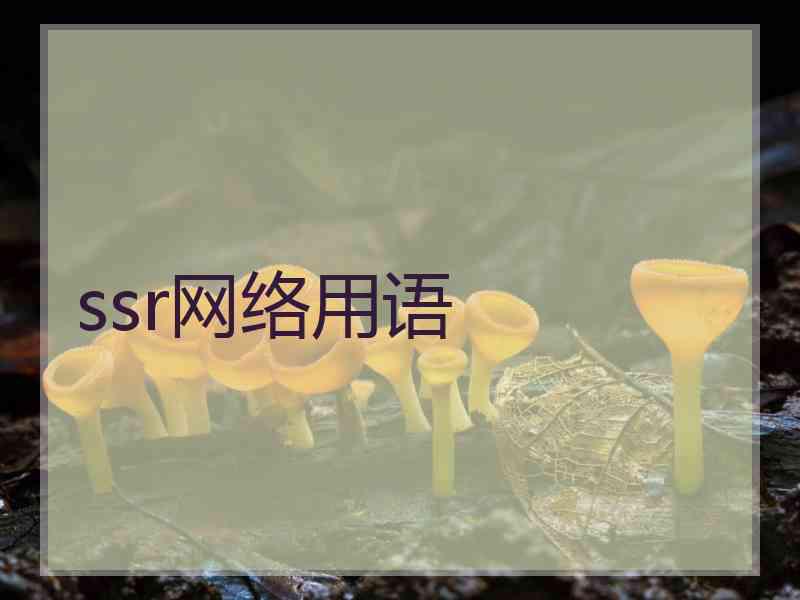 ssr网络用语