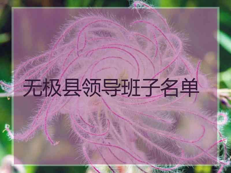 无极县领导班子名单