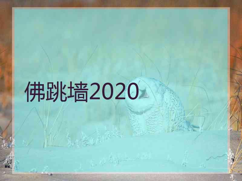 佛跳墙2020