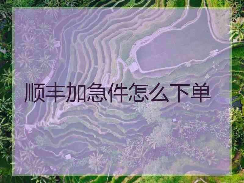 顺丰加急件怎么下单