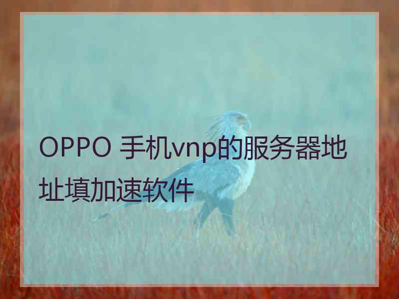 OPPO 手机vnp的服务器地址填加速软件