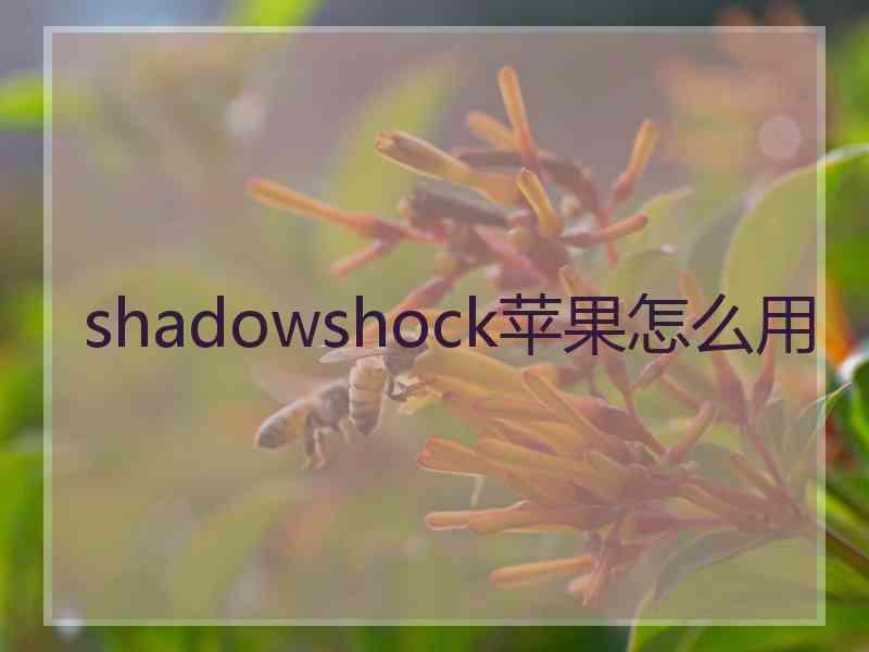 shadowshock苹果怎么用