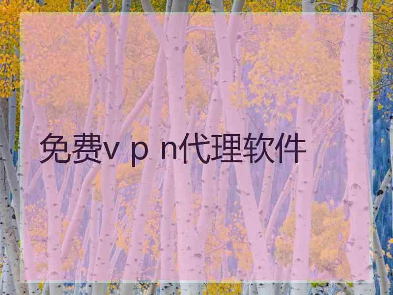 免费v p n代理软件