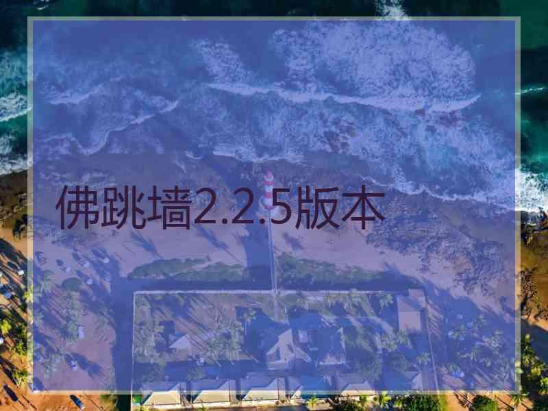 佛跳墙2.2.5版本