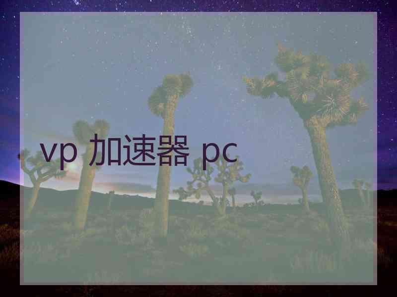 vp 加速器 pc