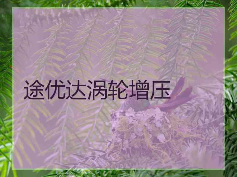 途优达涡轮增压