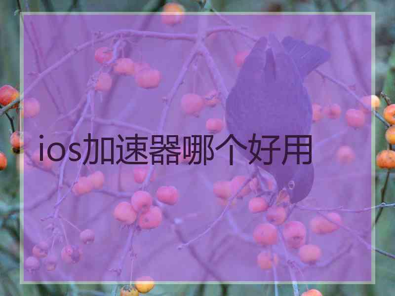 ios加速器哪个好用