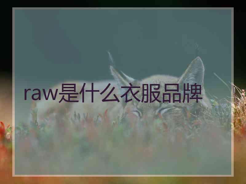 raw是什么衣服品牌