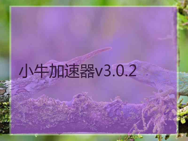 小牛加速器v3.0.2