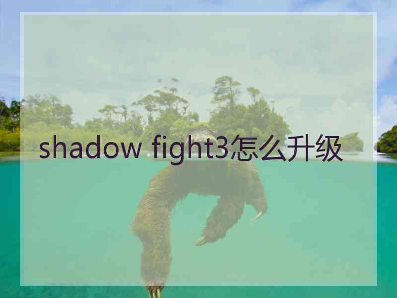 shadow fight3怎么升级