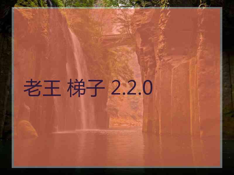 老王 梯子 2.2.0