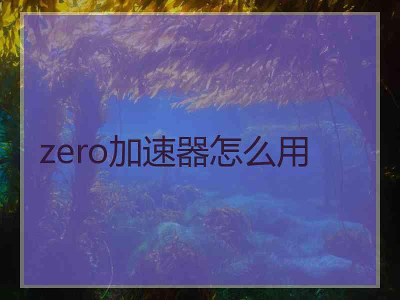 zero加速器怎么用