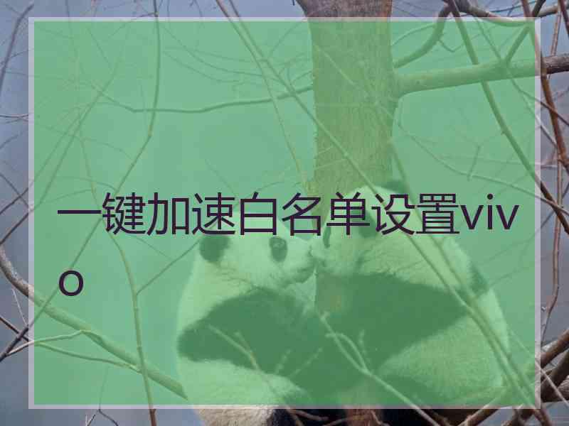 一键加速白名单设置vivo