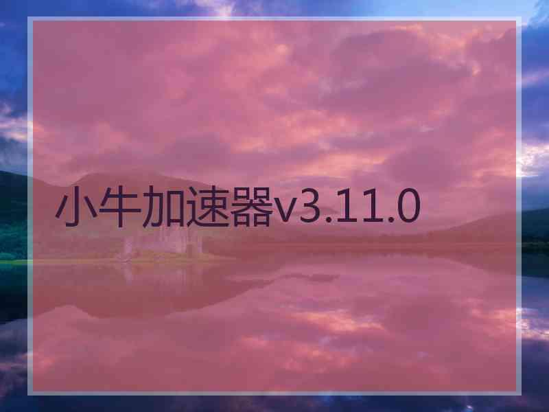 小牛加速器v3.11.0