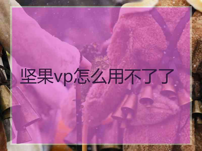 坚果vp怎么用不了了