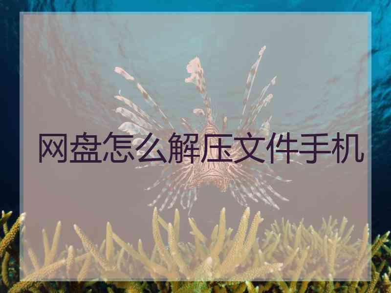 网盘怎么解压文件手机