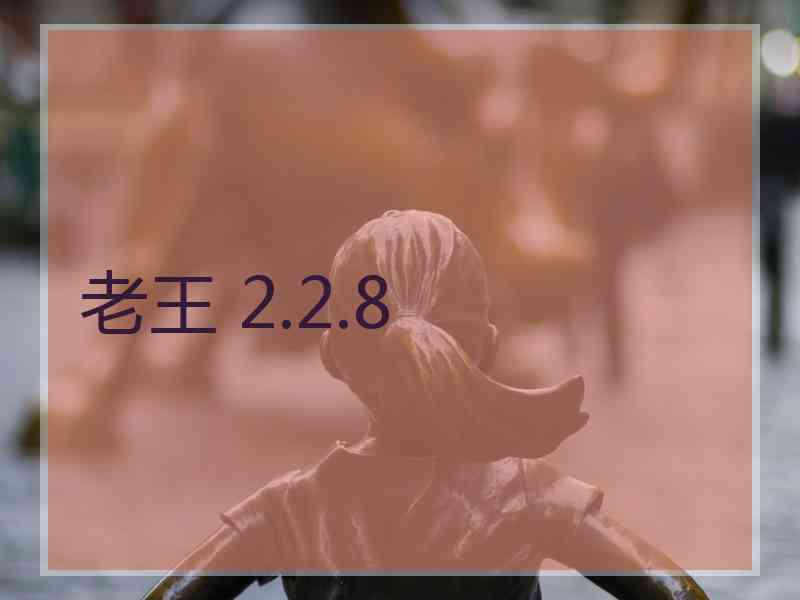 老王 2.2.8