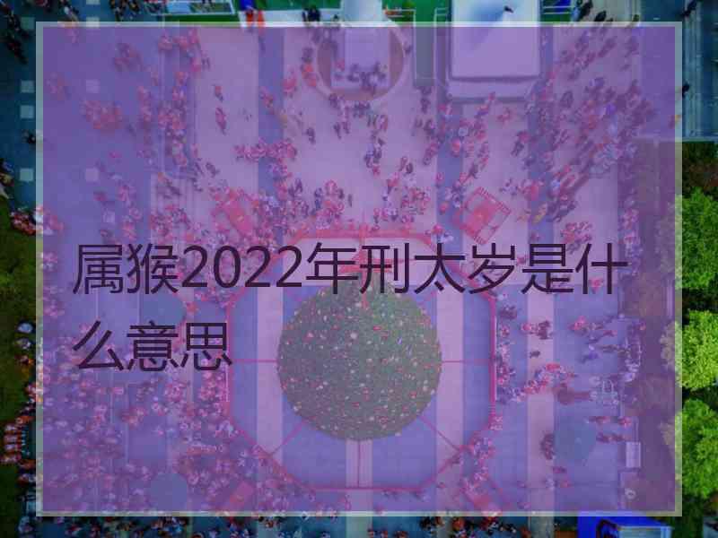 属猴2022年刑太岁是什么意思