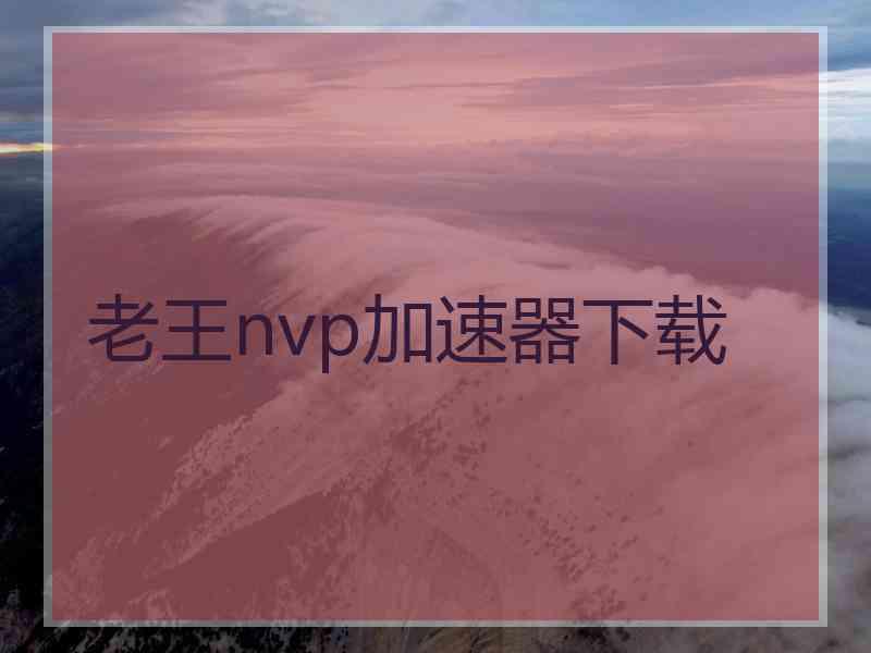 老王nvp加速器下载