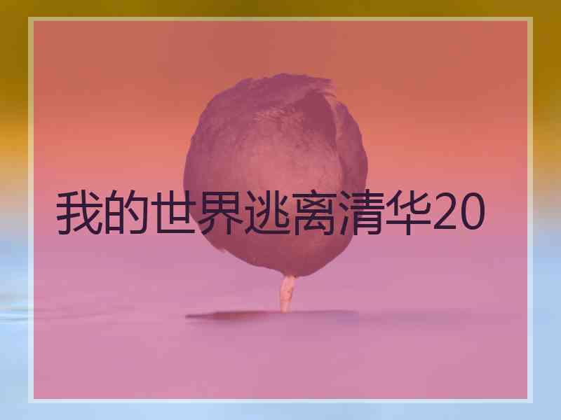 我的世界逃离清华20