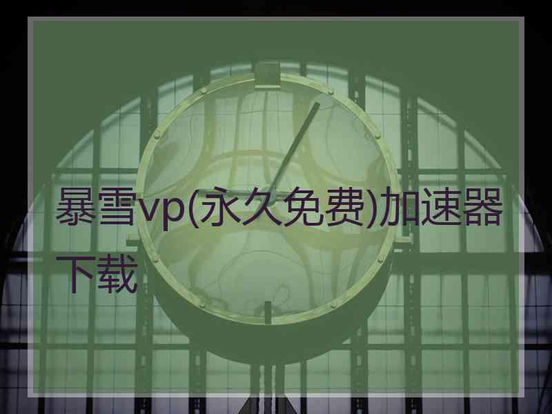 暴雪vp(永久免费)加速器下载