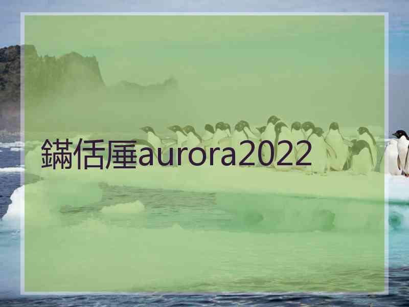 鏋佸厜aurora2022