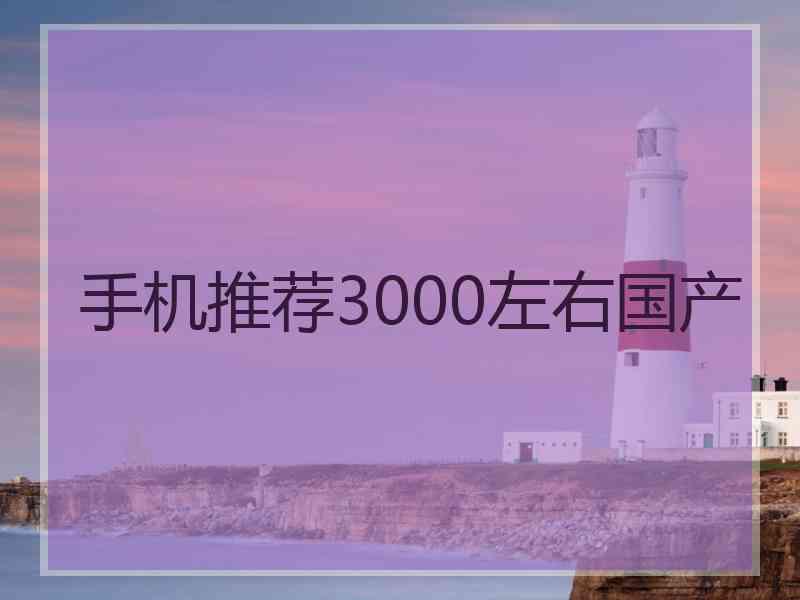 手机推荐3000左右国产